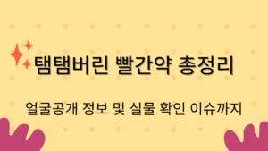 탬탬버린 빨간약 총정리 – 얼굴공개 정보 및 실물 확인 이슈까지