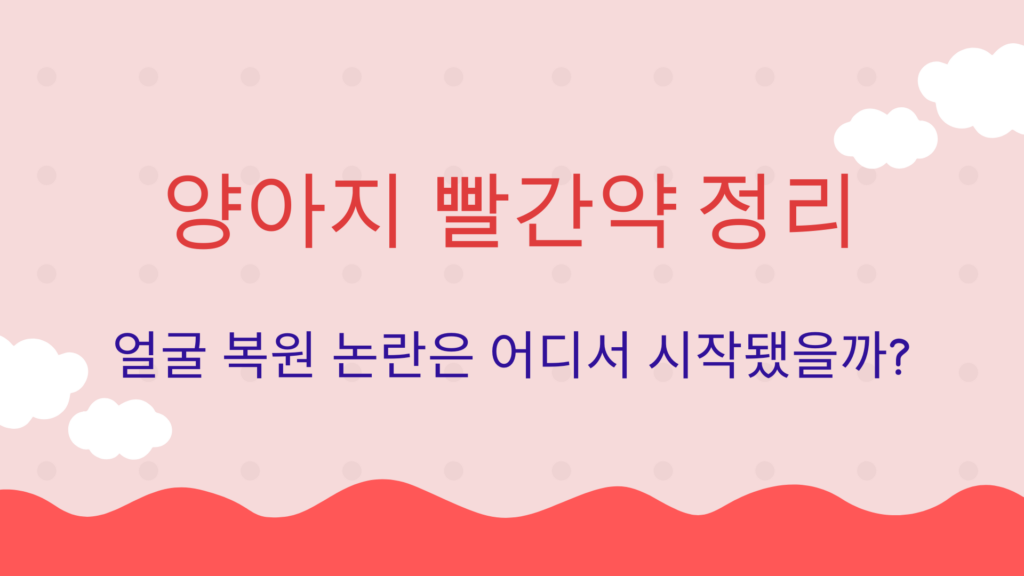 양아지 빨간약 정리 – 얼굴 복원 논란은 어디서 시작됐을까?