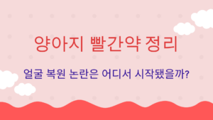 양아지 빨간약 정리 – 얼굴 복원 논란은 어디서 시작됐을까?