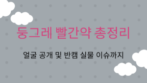 둥그레 빨간약 총정리 – 얼굴 공개 및 반캠 실물 이슈까지