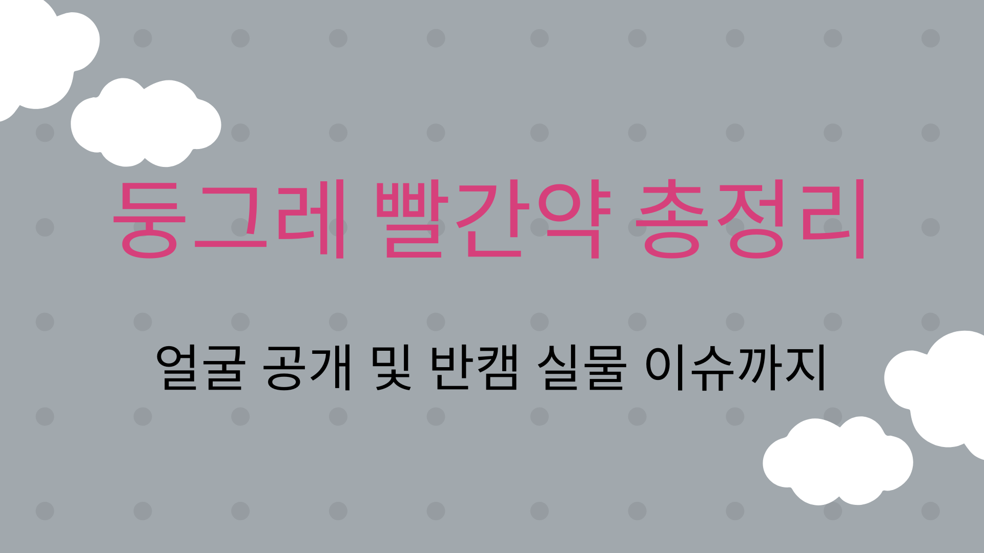 둥그레 빨간약 총정리 – 얼굴 공개 및 반캠 실물 이슈까지