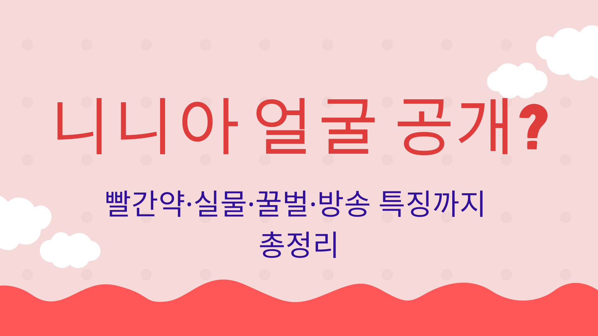 니니아 얼굴 공개? 빨간약·실물·꿀벌·방송 특징까지 총정리