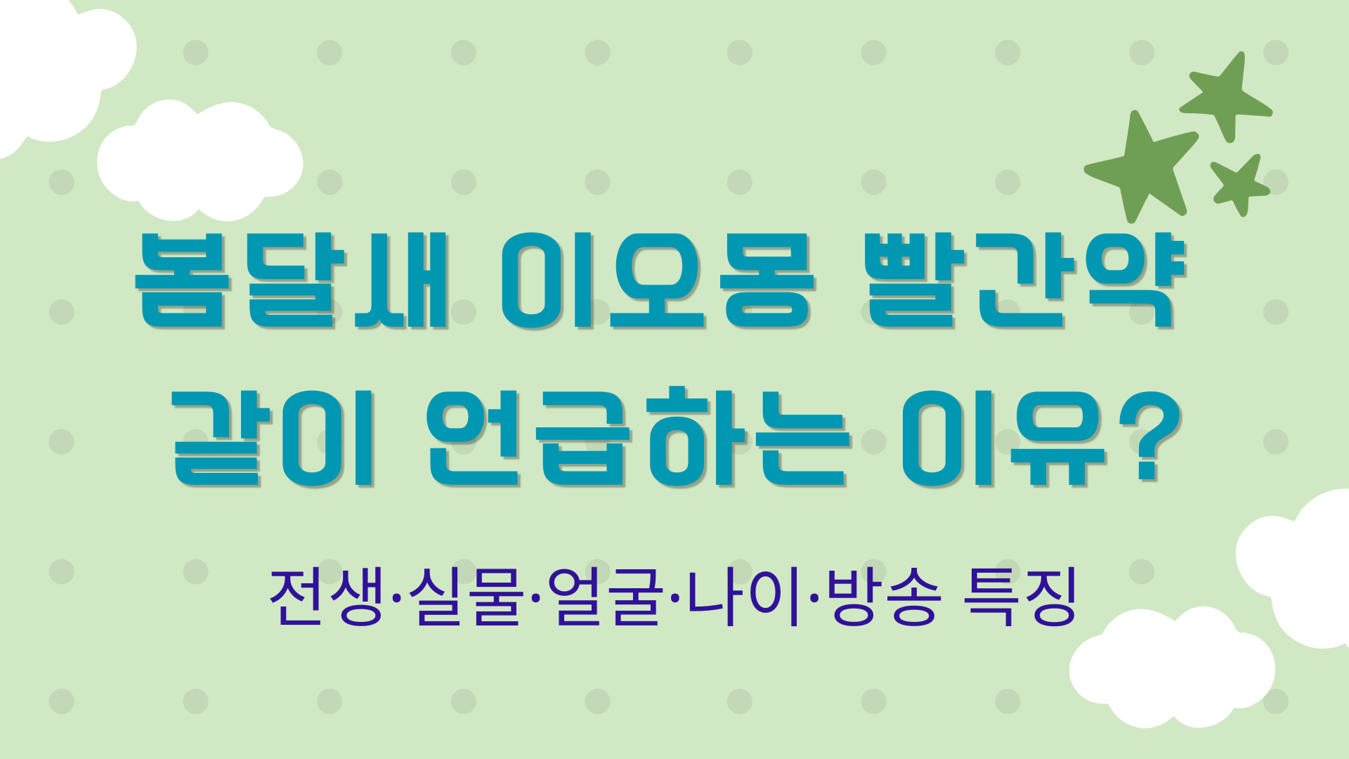 봄달새 이오몽 빨간약 같이 언급하는 이유? 전생·실물·얼굴·나이·방송 특징