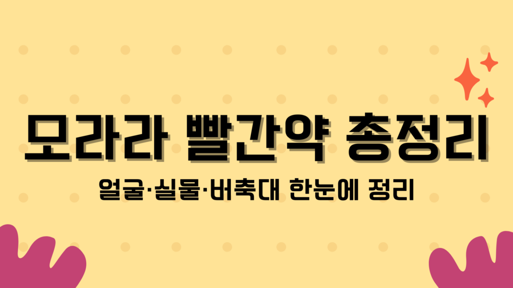 모라라 빨간약 총정리 – 얼굴·실물·버축대 한눈에 정리